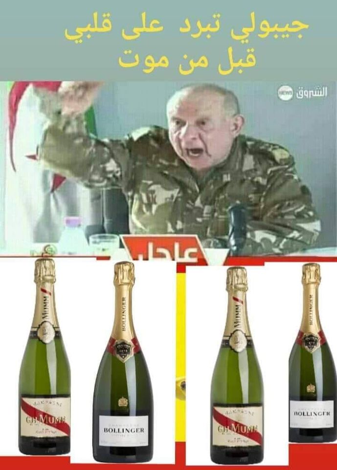 مناورات عسكرية مغربية فرنسية قرب الحدود الجزائرية تصيب عصابة شنقريحة بالرعاش